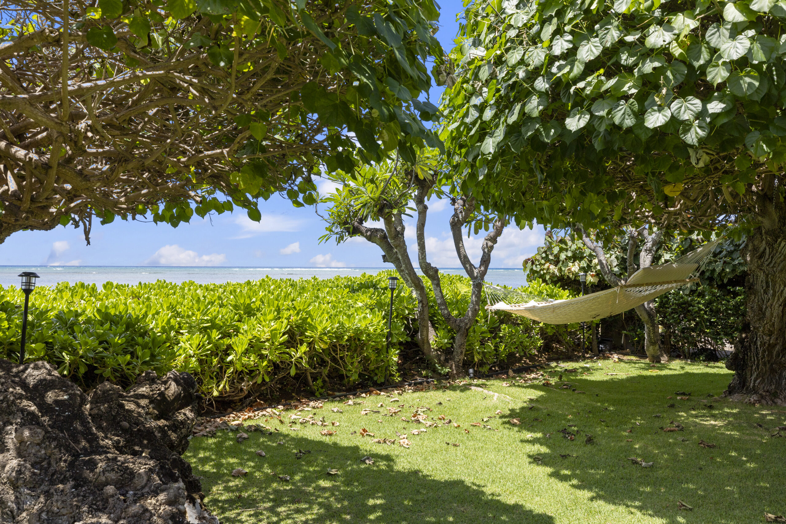 Elegant oceanfront backyard featuring manicured lawn, mature shade trees with rope hammock, natural lava rock borders, well-maintained tropical hedging, landscape lighting, and direct beach access with pristine sand and turquoise ocean waters under blue sky with white clouds.